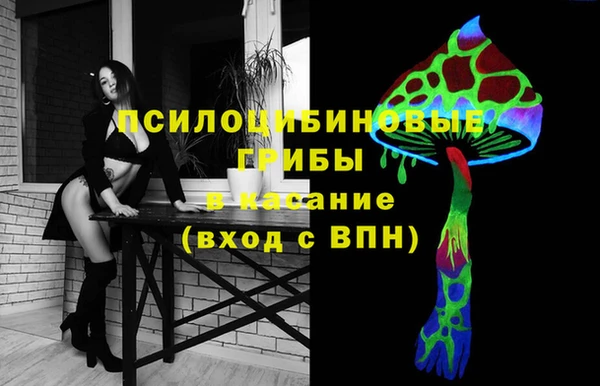 тгк Алексин